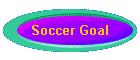 Soccer Goal